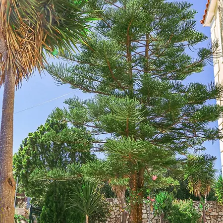 Rodothea Villa Khelmáta